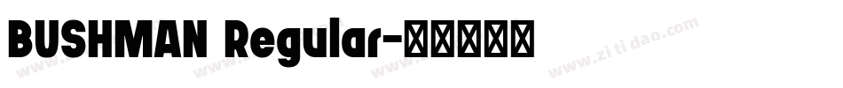 BUSHMAN Regular字体转换